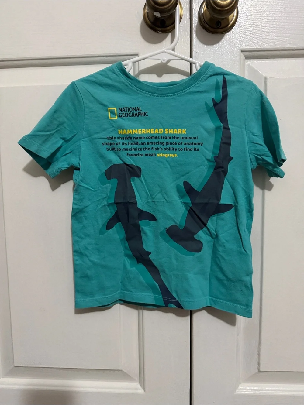 GAP Teal Short Sleeve Tee with Navy Hammerhead Sharks and Yellow Logo